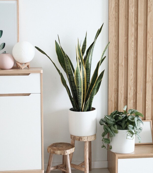 Alquiler en Santa Cruz de Tenerife